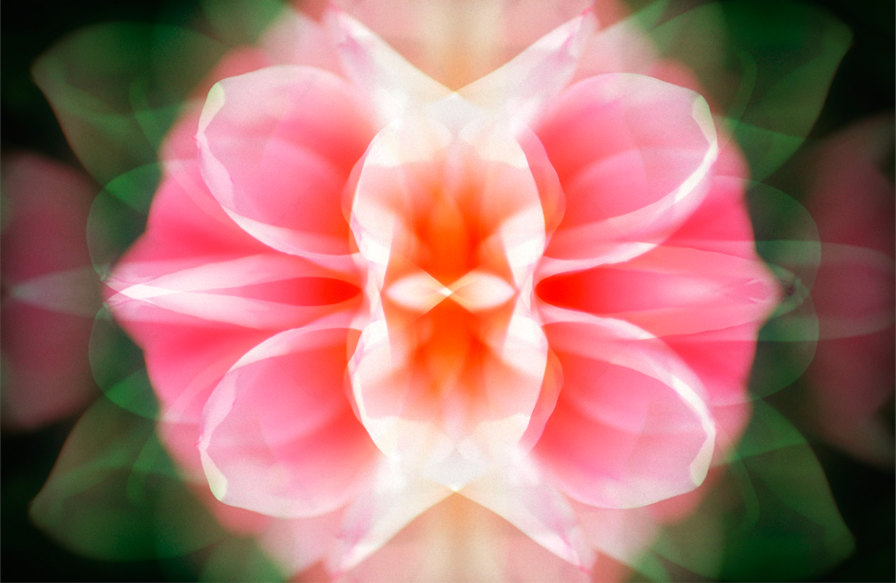 placeholder image-wide